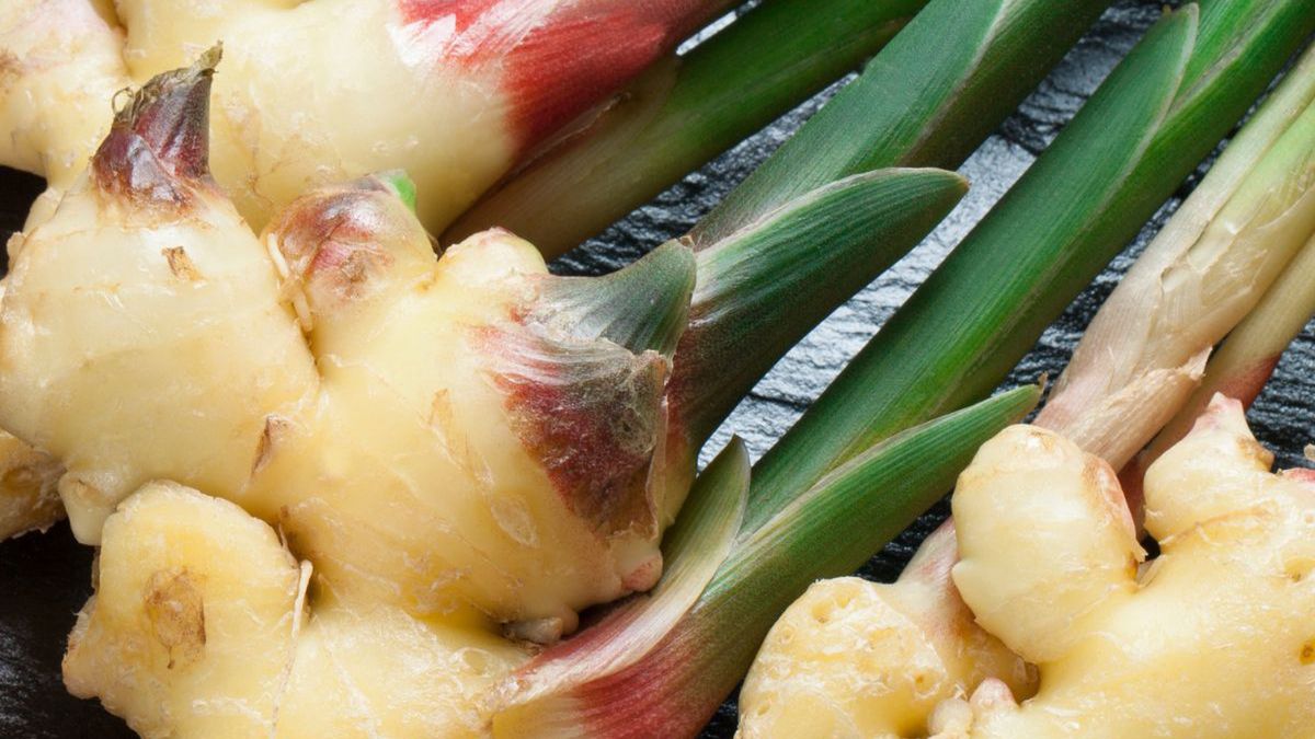 Domowa uprawa na rozgrzewający napar