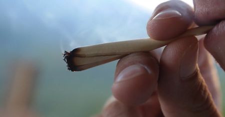 Marihuana zmienia DNA