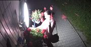 "Kobieto, co ci te kwiaty winne". Właściciele kwiaciarni pokazali nagranie