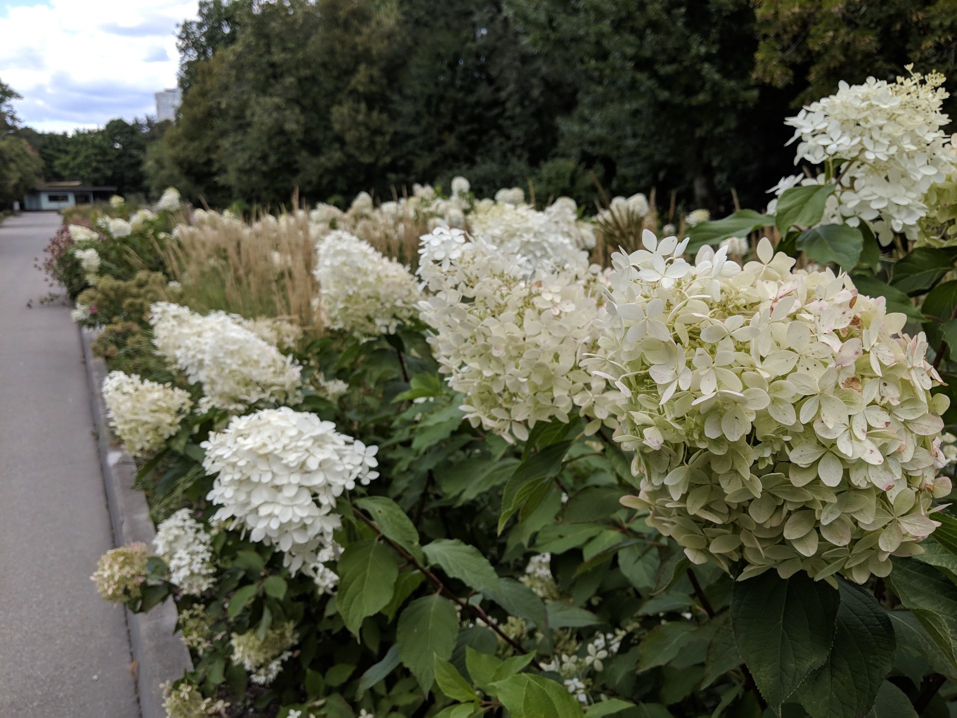 Google Pixel 3: podsumowanie przecieków 17