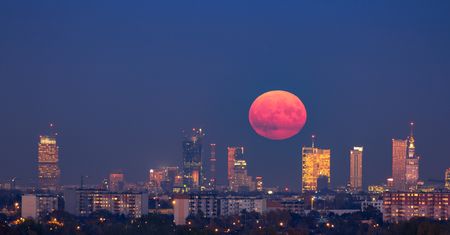 Jak sfotografować "Kwiatowy Księżyc"? [poradnik]