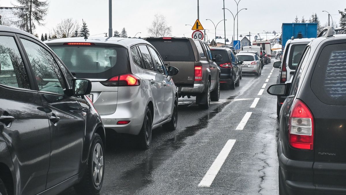 Sprawdzili, jakie samochody preferują Polacy