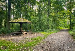 Pogoda. Wrocław. 24 września - wietrznie i zimno. Zmiana pogody w sobotę