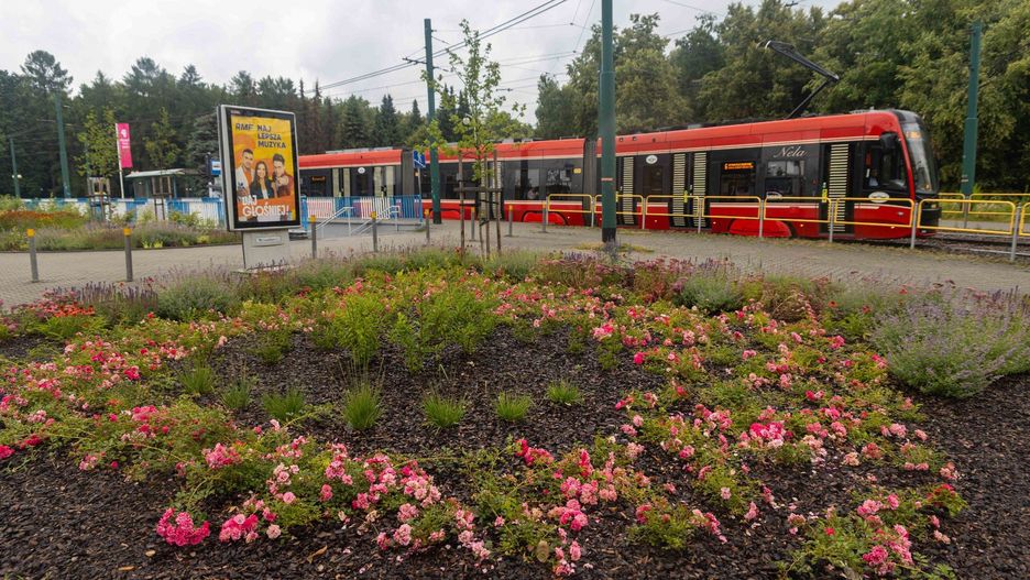 Tak po przebudowie wygląda przystanek autobusowy &#34;Śląski Ogród Zoologiczny&#34; przy ul. Chorzowskiej w Katowicach