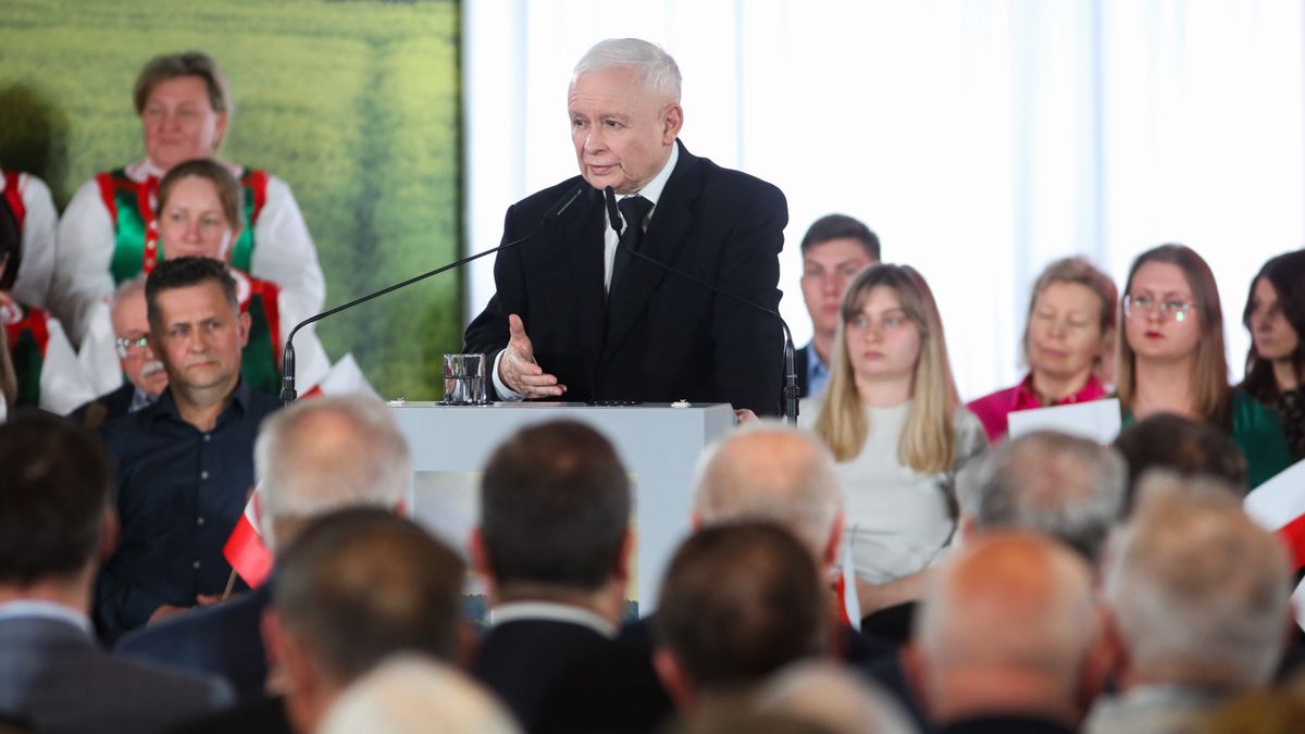 Jarosław Kaczyński ogłosił zakaz importu zboża i produktów rolnych z Ukrainy. Zostanie on wprowadzony rozporządzeniem rządu