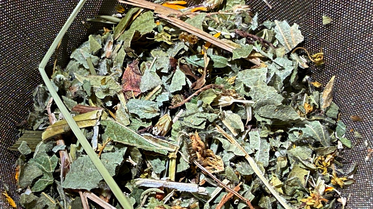 Naturalny "bloker" węglowodanów? Prawda o morwie białej