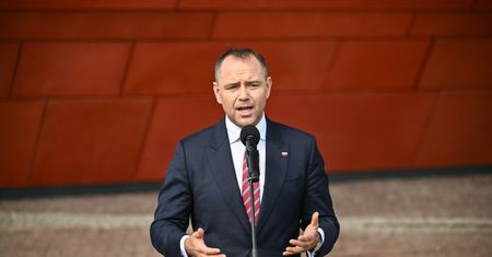 Zapytali o Nawrockiego. 44 procent odpowiedzi negatywnych