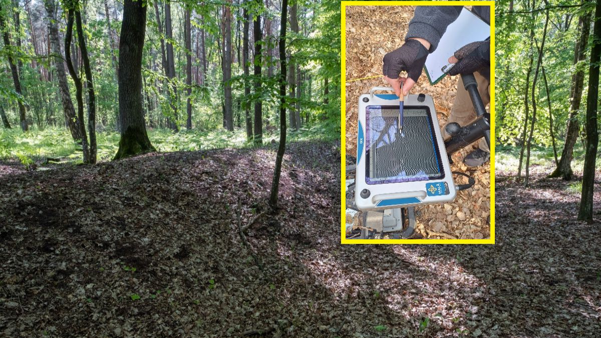 Badacz informują o niecodzinennym odkryciu