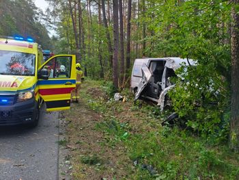 Długosiodło: Kierujący busem zasnął za kierownicą i wjechał w drzewo. 5 osób trafiło do szpitala