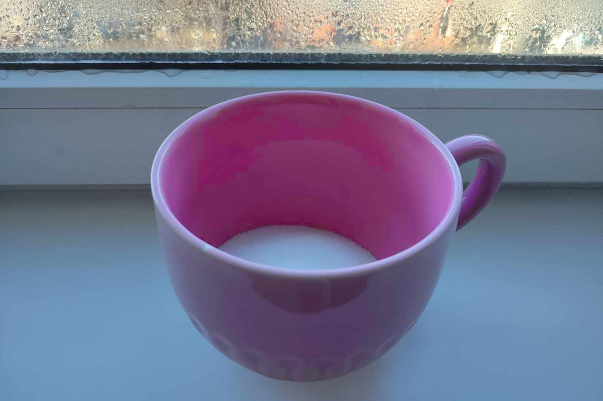 How a simple cup by the window can decrease moisture levels overnight