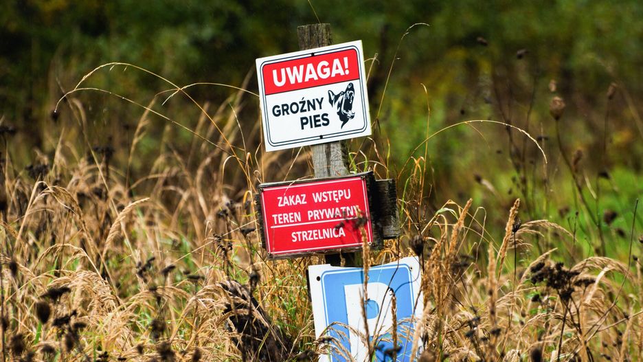Właściciel psów, które pogryzły 46-latka zatrzymany. Na zdjęciu teren strzelnicy w Raculi