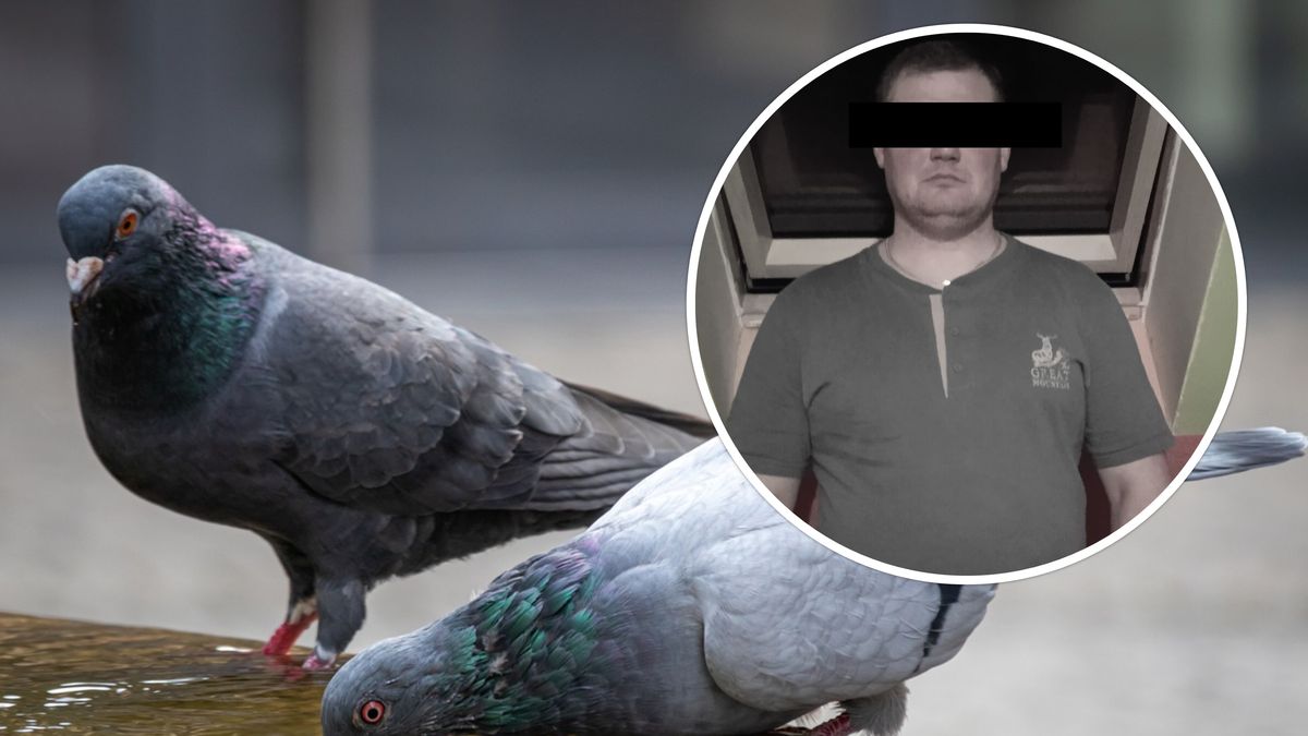 Mężczyzna podpalił gołębie w akcie zemsty.