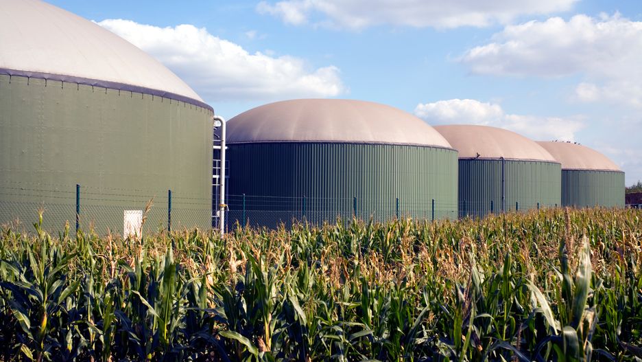 Biogazownia (zdj. ilustracyjne) 