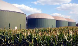 Spór na mazurskiej wsi. Nie chcą inwestycji uczestnika reality show