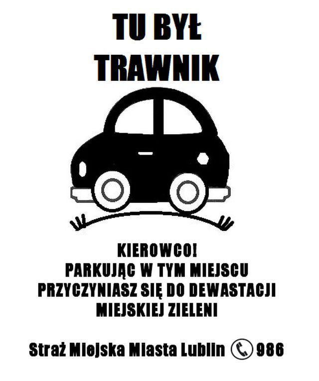 TRAWNIIK1