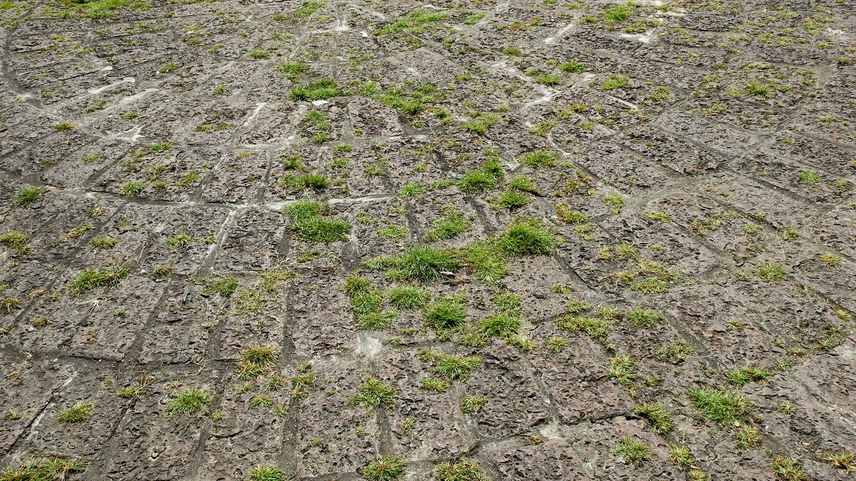 Tak usuniesz mech z kostki