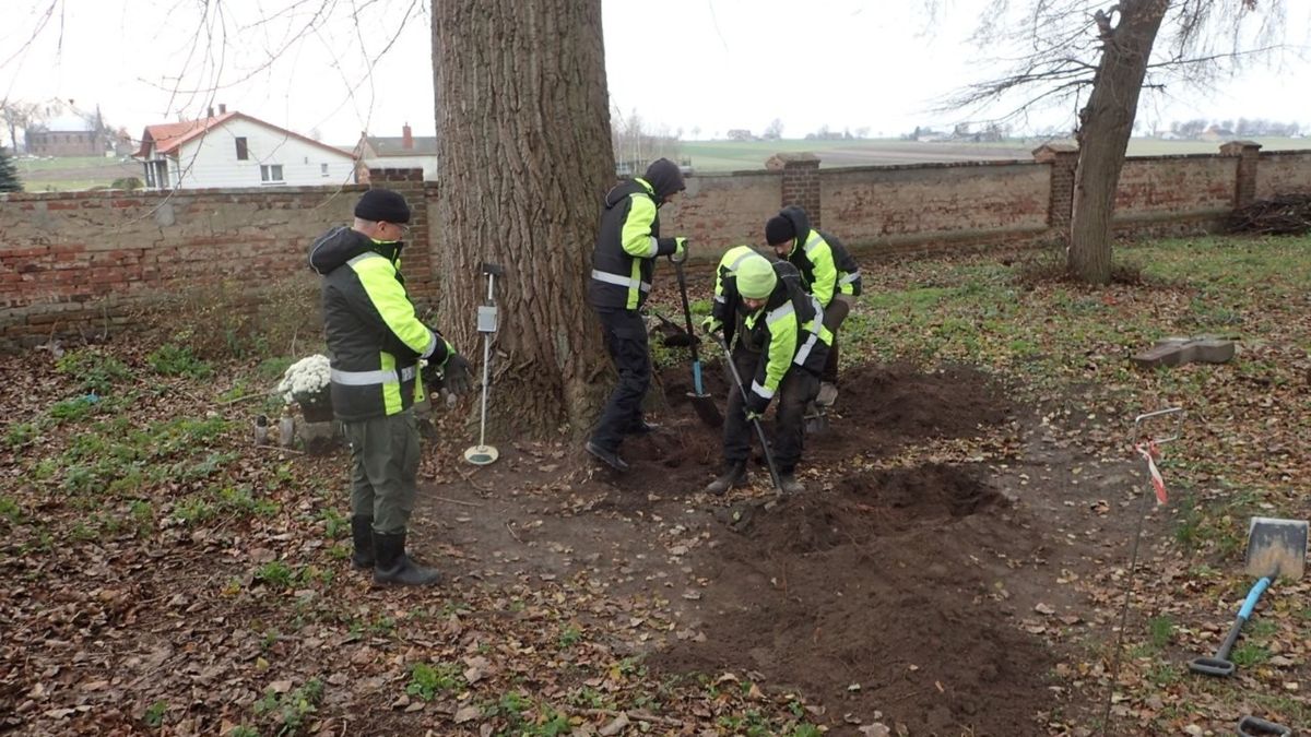 Kolejne odkrycie POMOST.