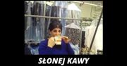Co się stanie, gdy zamiast cukru dodasz sól? (WIDEO)