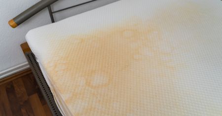 Rozsyp na brudnym materacu. Żółte zacieki znikną w oczach