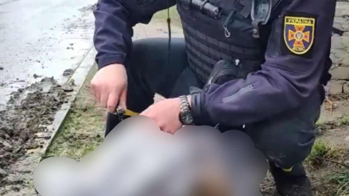policja ministerstwo ukraina wojna w ukrainie rosja putin