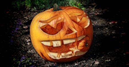 Halloween i Tydzień druku w x-kom. Promocje na laptopy, smartfony, drukarki i nie tylko