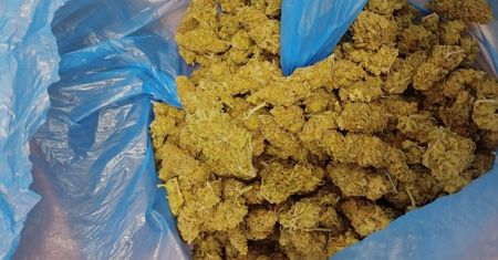 Wpadli podczas kontroli. Mieli w samochodzie prawie 250 gramów marihuany