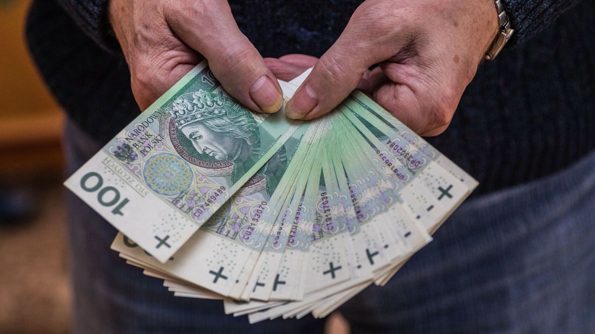 Stock ArZiFot. Arkadiusz Ziolek/East News. n/z Polskie banknoty w reku mezczyzny.ARKADIUSZ ZIOLEK