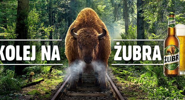 Żubr, Plus, Redd's i McDonald’s z najlepszymi hasłami reklamowymi 2015 roku (wideo)