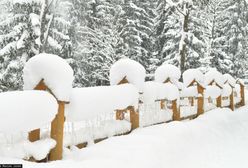 Wyjątkowo śnieżna zima. Z Zakopanego wywieziono około tysiąca ciężarówek śniegu