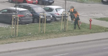 „Zima ich zaskoczyła”. Mieszkańcy przecierają oczy ze zdumienia