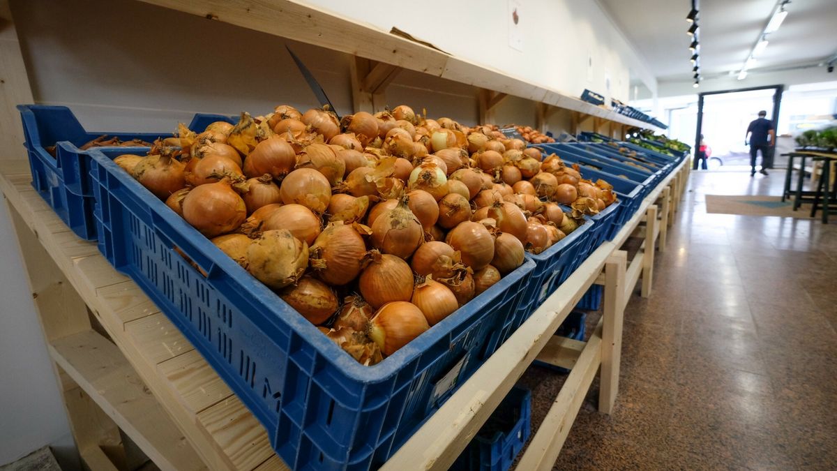 Ceny cebuli poszybowały. W całej Europie jest problem z jej dostępnością