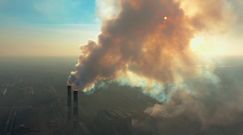 Ocieplenie klimatu ogłupia. Zaskakujące wyniki badań