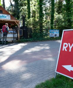 Ceny z kosmosu. "Nad Bałtykiem ryby kosztują tyle, co we Francji"