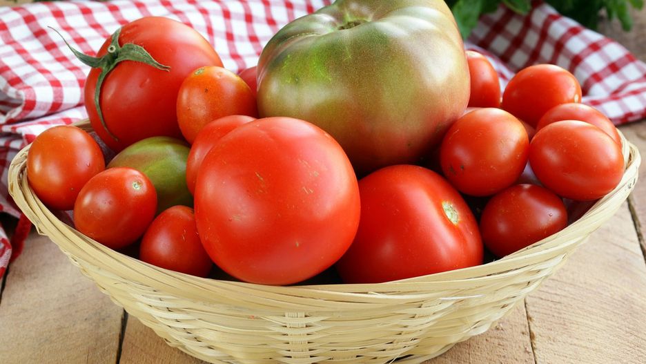 Wsadź między zielone pomidory. Momentalnie nabiorą koloru