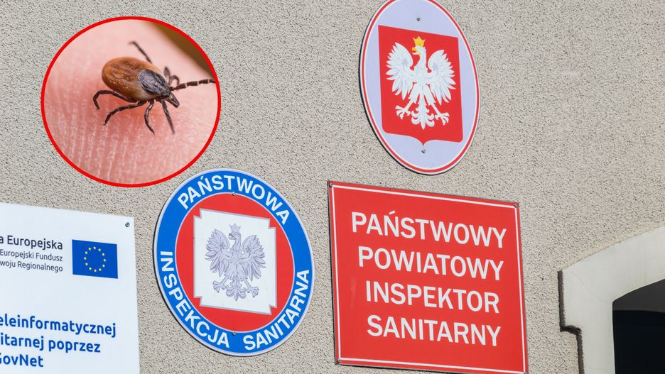 Jak się chronić przed atakującymi kleszczami?