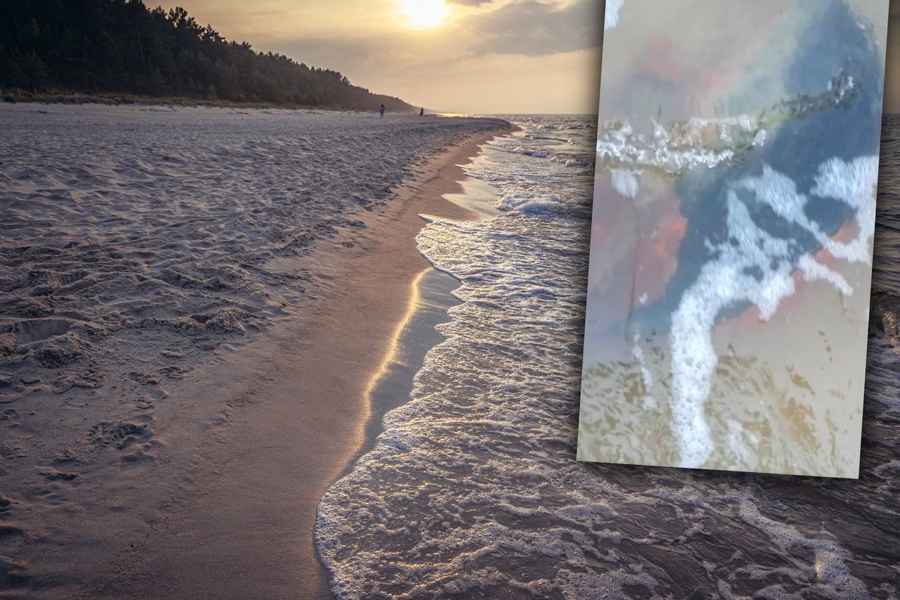 Intrygujące znalezisko w Sztutowie. "Bursztynowa komnata"