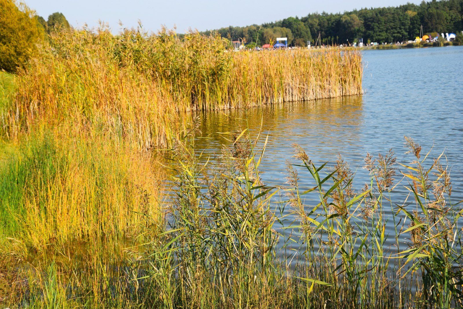 Kolejna atrakcja nad Kępiną. Będzie wielki, podświetlany napis „Zduńska Wola”