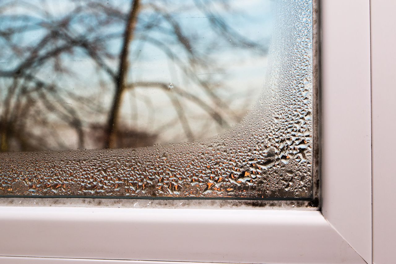 Avoid mold growth: Unique dishwashing liquid hack for damp windows