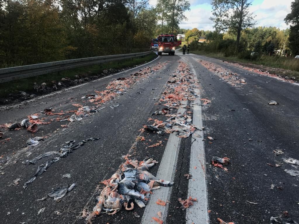 Pomorskie. Szczątki ryb na drodze. Doszło do wypadku