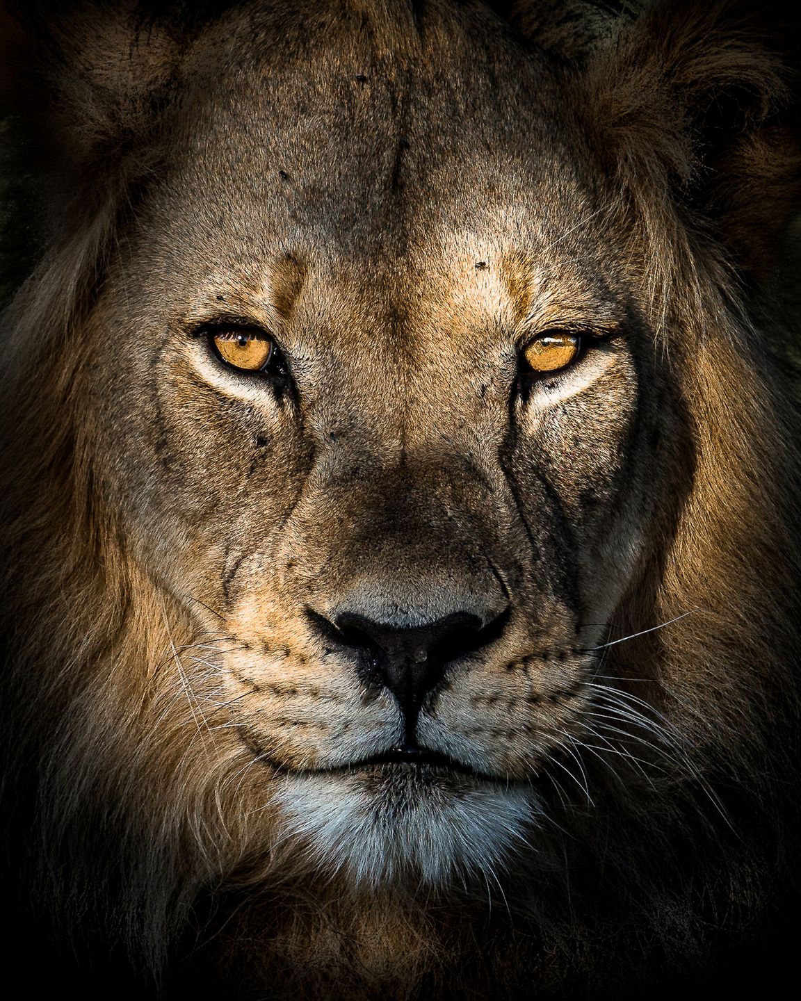 Największy konkurs fotograficzny świata na finiszu, a już zgłoszono mnóstwo świetnych zdjęć 13