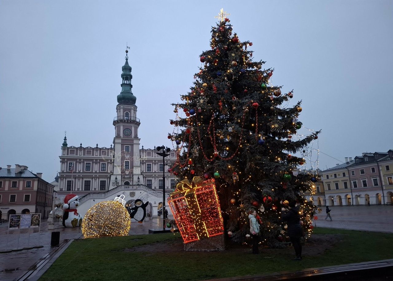 Zamość: Świąteczne dekoracje. "Co chwilę słychać dziecięce okrzyki zachwytu"