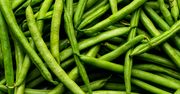 Nigdy nie jedz takiej fasolki. Może skończyć się poważnym zatruciem