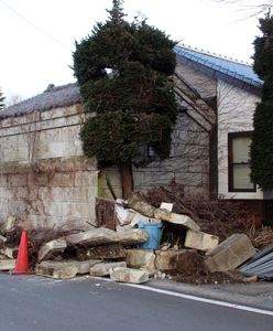 Japonia. Trzęsienie ziemi nawiedziło prefektury Fukushima i Miyagi