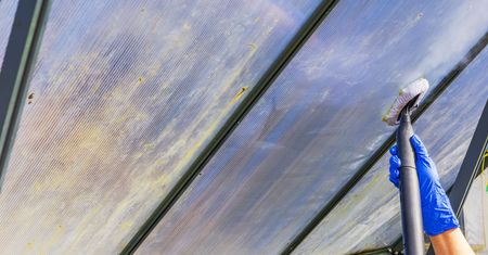Jak przygotować szklarnię? Tego nie zostawiaj do wiosny