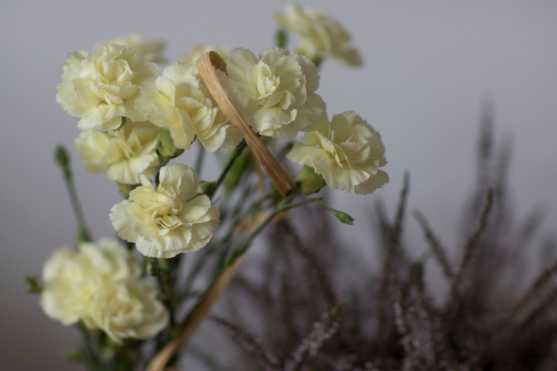 Canon EOS 7D Mark II - szybki, wytrzymały i bez konkurencji [test] 28