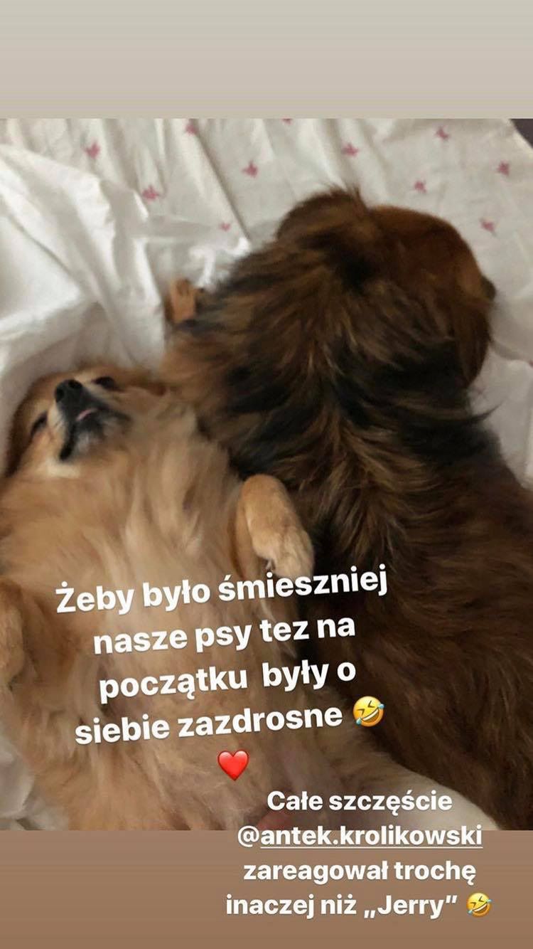 Joanna Opozda wspomina spotkanie z Antkiem Królikowskim
