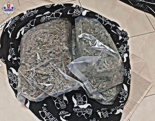 Marihuana znaleziona w rozbitym samochodzie (fot. Policja)