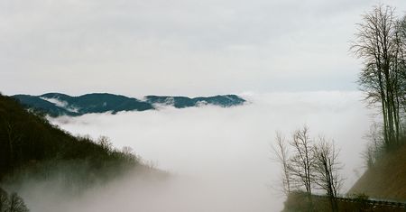 Brian Ferry pokazał, jak wygląda strzyżenie owiec w Appalachach