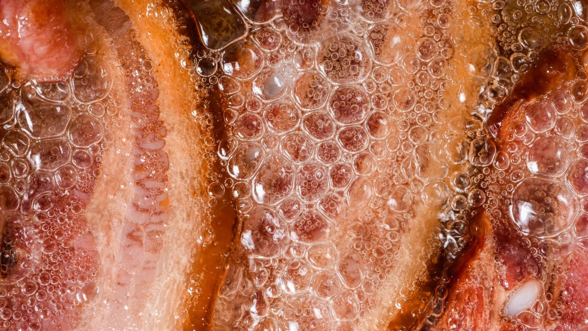 Bacon Cooking
extreme closeup of bacon strips cooking in oil with space for text or design
Predrag Popovski