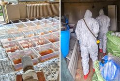 Polskie "Breaking Bad" pod Koninem. Ojciec chemik pracował z synem